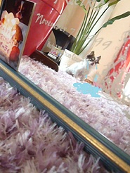 2012060512.jpg