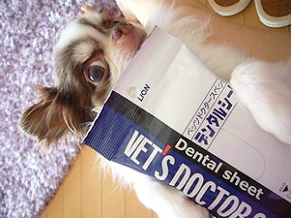 2012060901.jpg