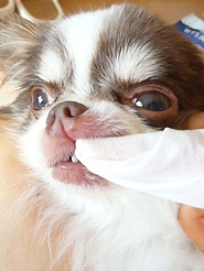 2012060902.jpg