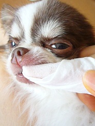 2012060903.jpg