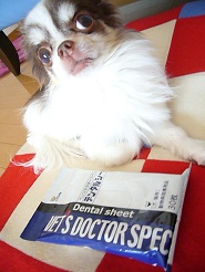 2012060904.jpg