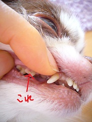 2012060905.jpg