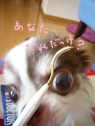 2012060906.jpg