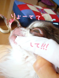 2012060907.jpg