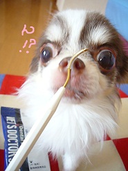2012060908.jpg