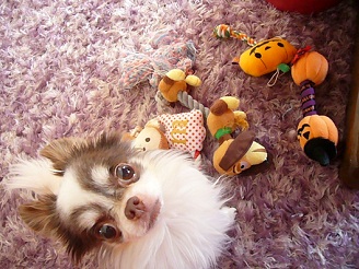 2012061001.jpg