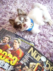 2012071909.jpg