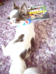 2012071911.jpg