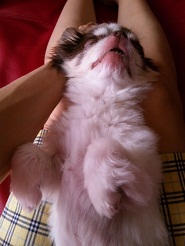 2012072003.jpg