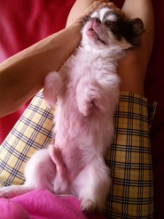 2012072004.jpg