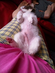 2012072005.jpg