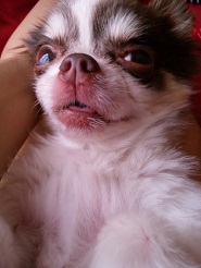 2012072006.jpg