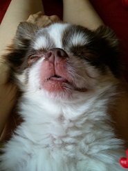 2012072007.jpg