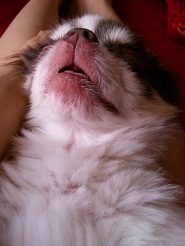 2012072008.jpg