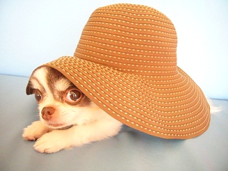 2012072101.jpg