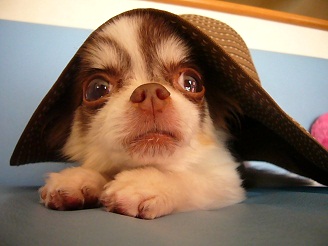 2012072102.jpg