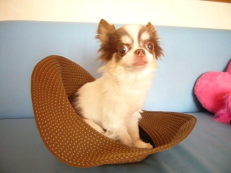 2012072103.jpg