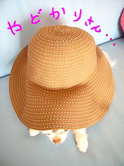 2012072104.jpg
