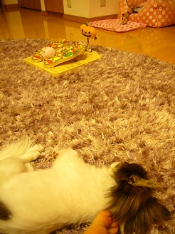 2012072204.jpg