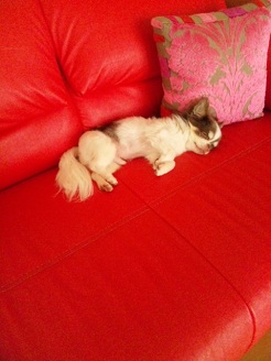 2012072401.jpg