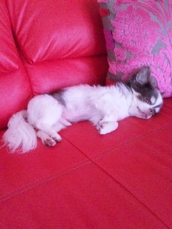 2012072402.jpg
