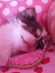 2012072501.jpg
