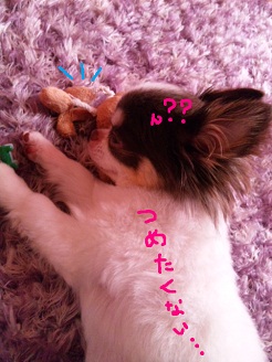 2012072502.jpg