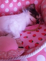 2012072503.jpg