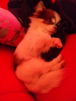 2012072601.jpg