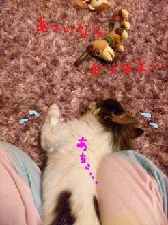 2012072701.jpg