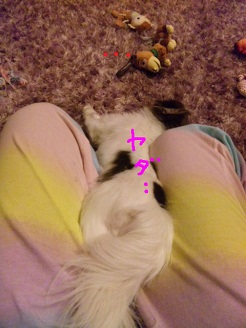 2012072702.jpg