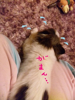 2012072703.jpg