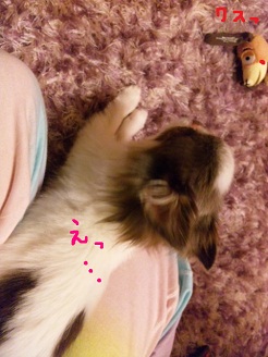 2012072704.jpg
