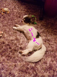 2012072705.jpg