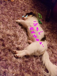 2012072706.jpg