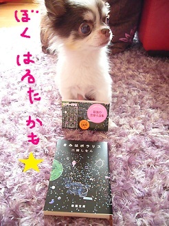 2012080103.jpg
