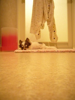 20120801302.jpg