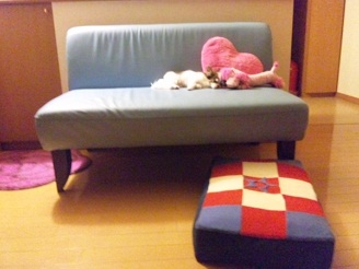 2012080601.jpg