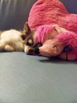 2012080602.jpg