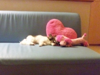 2012080603.jpg