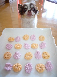 2012080604.jpg