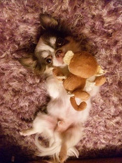 2012080606.jpg