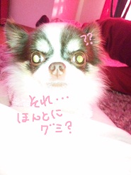 2012080607.jpg