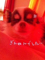 2012080608.jpg