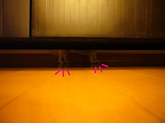 2012080700.jpg