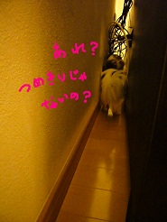 2012080703.jpg