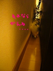 2012080704.jpg