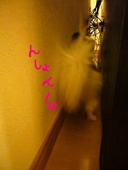 2012080705.jpg