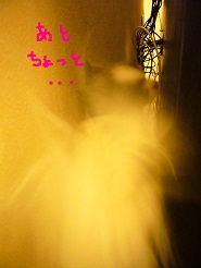 2012080706.jpg