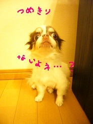 2012080707.jpg